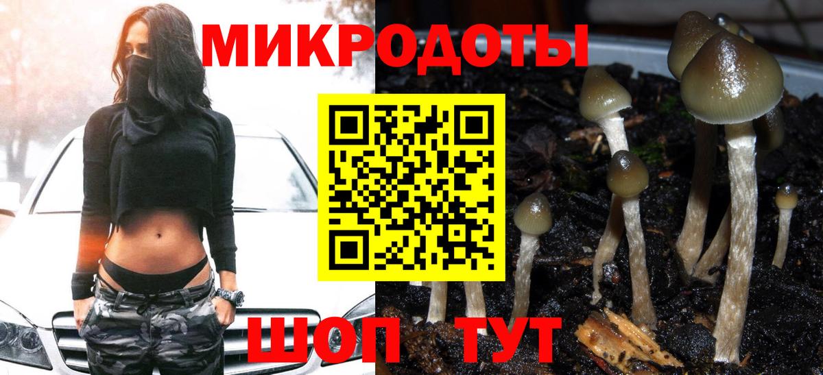 Владимир  Галлюциногенные грибы Cubensis  Вход с VPN 