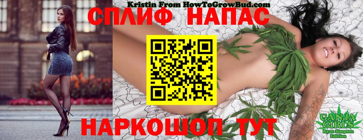 Конопля OG Kush Владимир